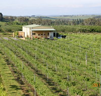 Dindima Wines - Food Delivery Shop