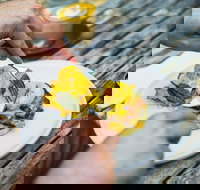 Travelling Bandit - Pet Food Australia