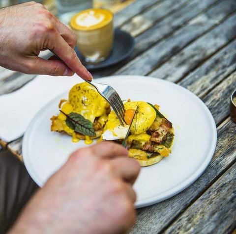 Travelling Bandit - Pet Food Australia 0