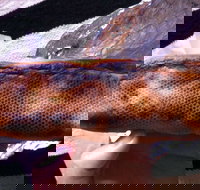 Balmoral Pizzeria - Food Delivery Shop