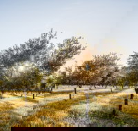 Guneemooroo Estate - Pet Food Australia