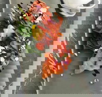 KALV  Co. Cafe and Wine Bar - Pet Food Australia