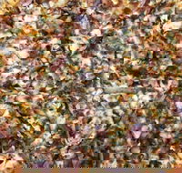 Mitch's Pizza  Pasta - Food Delivery Shop