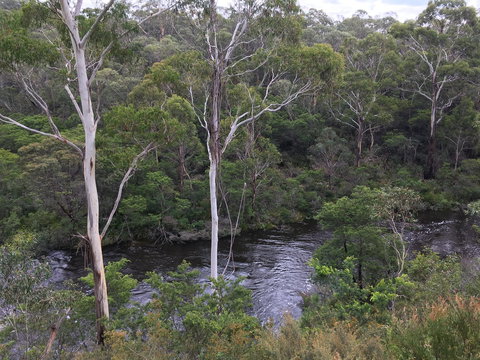 Mongarlowe Gourmet - Food Delivery Shop 2