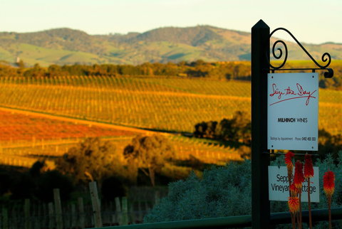 Seize The Day Wines - Pet Food Australia 0