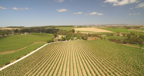 Seize The Day Wines - Pet Food Australia 1