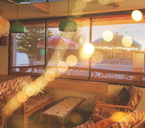 Single Fin Canteen And Goods - Pet Food Australia 1