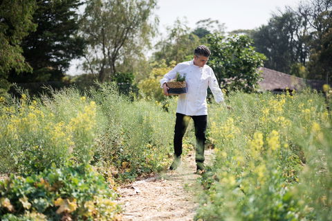 The Wild Flower Bar And Dining - Food Delivery Shop 2