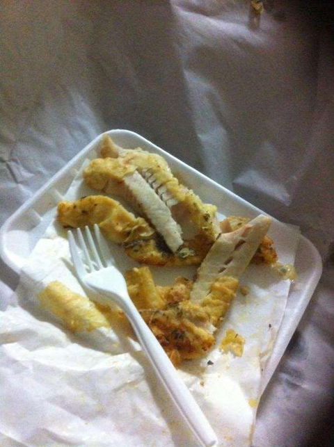 Bluey's Place Fish And Chips - Pet Food Australia 0