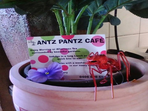 Antz Pantz Cafe - Pet Food Australia 0