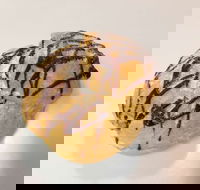 Delish Patisserie - Food Delivery Shop