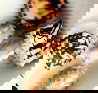 Portuguese Delights - Food Delivery Shop