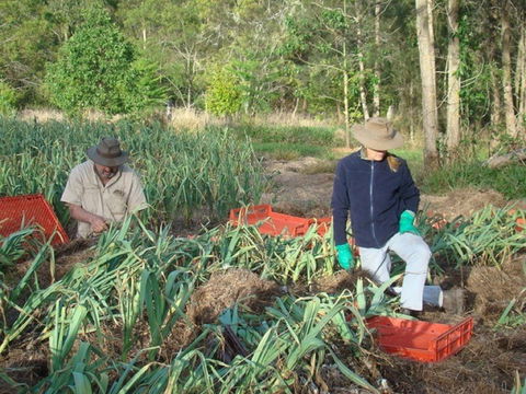 Sweet Water Farm - Pet Food Australia 0