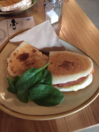 Alexander's Cafe - Pet Food Australia 0