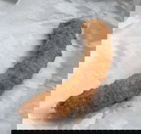 Blue Ocean - Food Delivery Shop