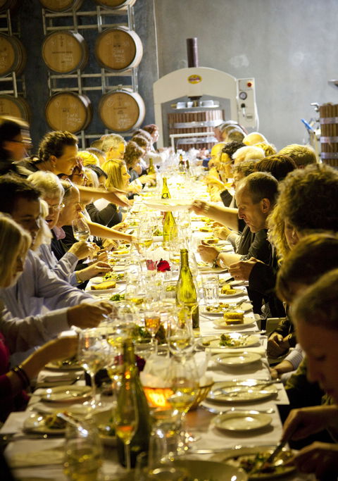 Dalwhinnie Wines - Pet Food Australia 2