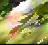 Raleigh Winery - Food Delivery Shop