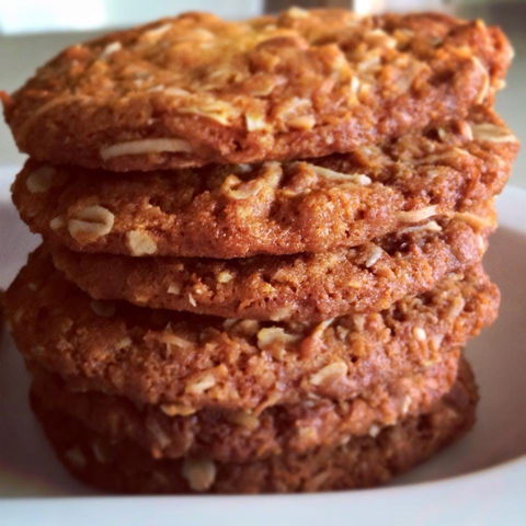 The Church Glenbrook - Pet Food Australia 0