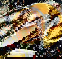 Cafe 3847 - Food Delivery Shop