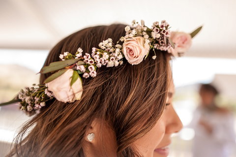 The Tasting House - Wellstead Shrubs  Cocktail Mixers - Pet Food Australia 2