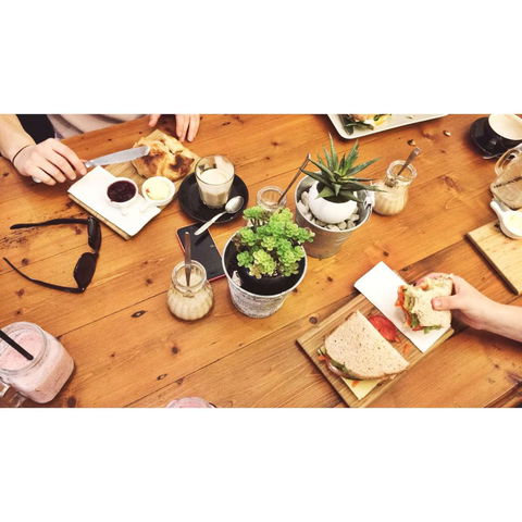 The White Owl - Pet Food Australia 0