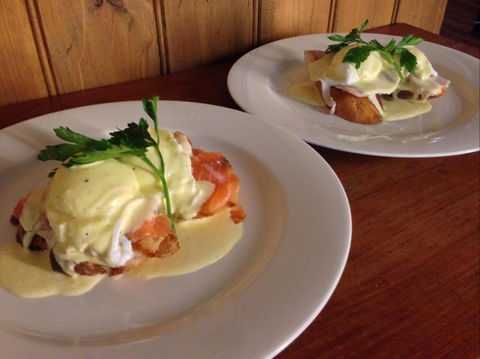 Wilkies Cafe - Pet Food Australia 2