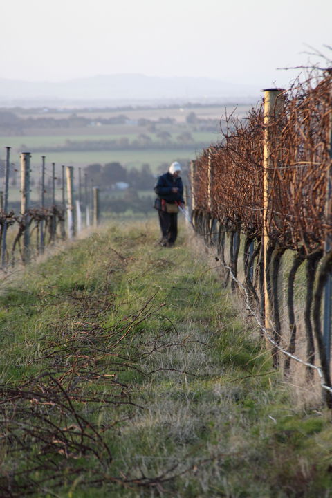 Barwon Ridge Wines - Pet Food Australia 2