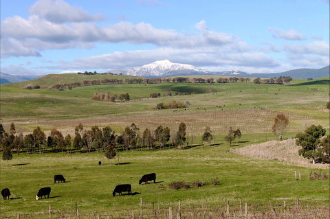 Delatite Winery - Food Delivery Shop 0