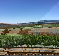 Peerick Vineyard and Winery - Food Delivery Shop
