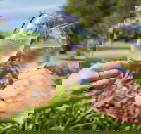 Redgate Wines - Pet Food Australia