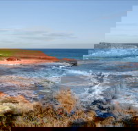 The Cape Kitchen - Food Delivery Shop