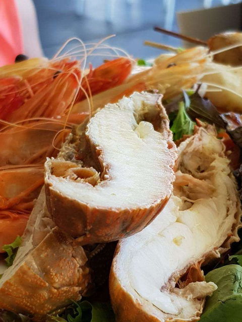 Bribie Island Surf Club - Food Delivery Shop 0