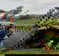 Brook Eden Vineyard - Food Delivery Shop