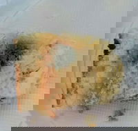 Central Patisseries - Food Delivery Shop