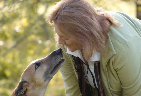 Levrier Wines By Jo Irvine - Food Delivery Shop 0