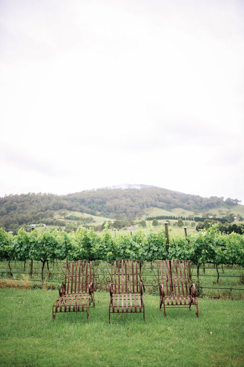 Two Figs Winery - Food Delivery Shop 2