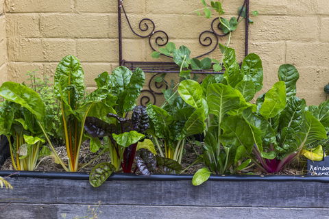 A Bite To Eat - Food Delivery Shop 1