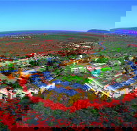 Ayers Wok Noodle Bar - Pet Food Australia