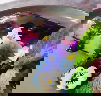 Infused Restaurant - Pet Food Australia