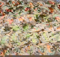 Maffra's Cafe - Pet Food Australia