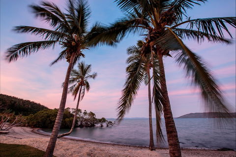 Northerlies Beach Bar And Grill - Pet Food Australia 1