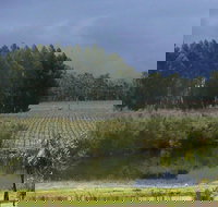 The Alchemist - Pet Food Australia