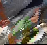 Cafe Macarthur - Pet Food Australia