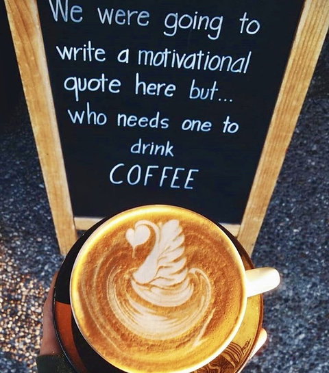 Home Cafe Ashgrove - Pet Food Australia 0