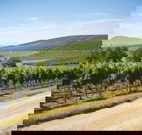 Jansz Tasmania - Food Delivery Shop