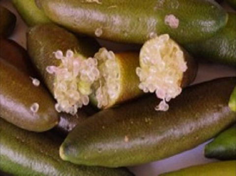 Sandy Creek Olives And Finger Limes - Food Delivery Shop 0