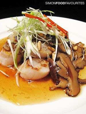 Banana Palm - Pet Food Australia 0