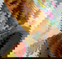 Point Hook Fish'n'Chips - Food Delivery Shop