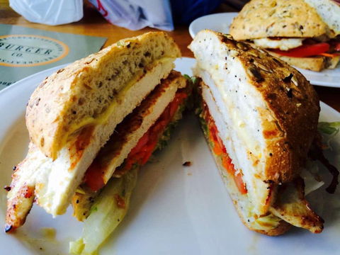 The Great Southern Burger Co. - Pet Food Australia 0