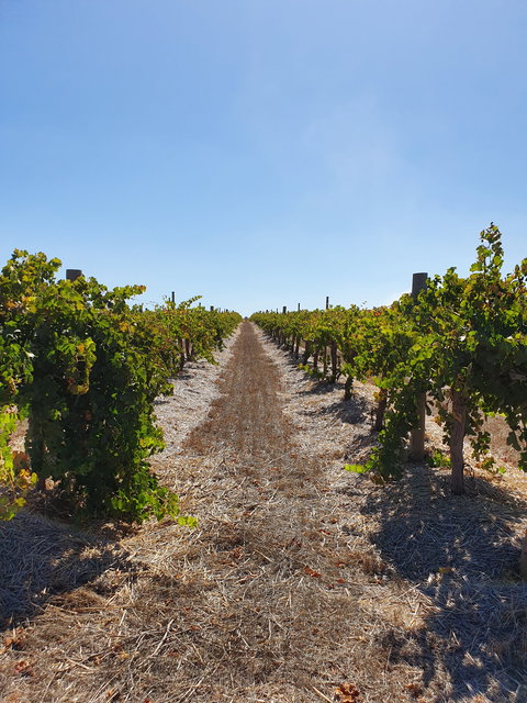 Ulster Park Wines - Food Delivery Shop 2